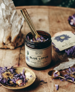 Blue Lotus Tea Anima Munde jar